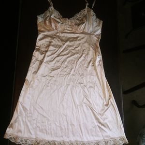 Vintage Nude Slip
